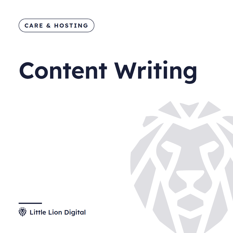 Content Writing | Little Lion Digital