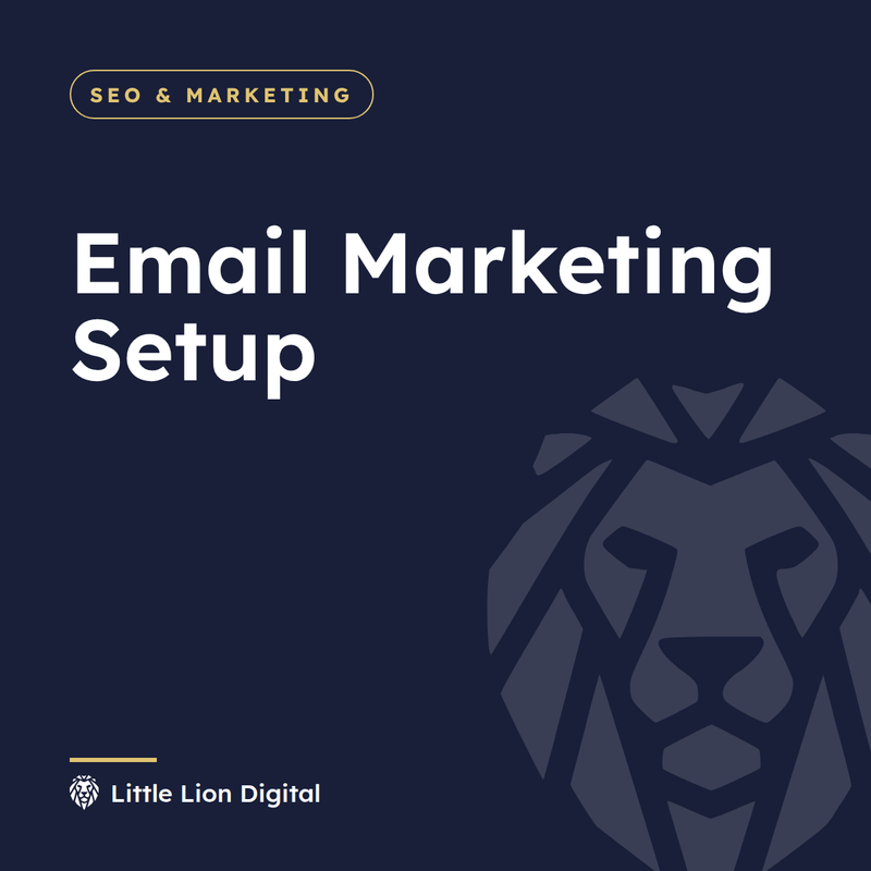 Email Marketing Setup | Little Lion Digital