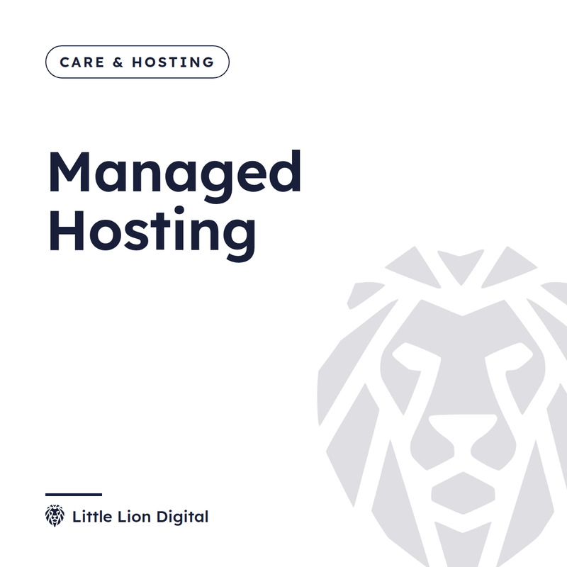 Managed Hosting | Little Lion Digital
