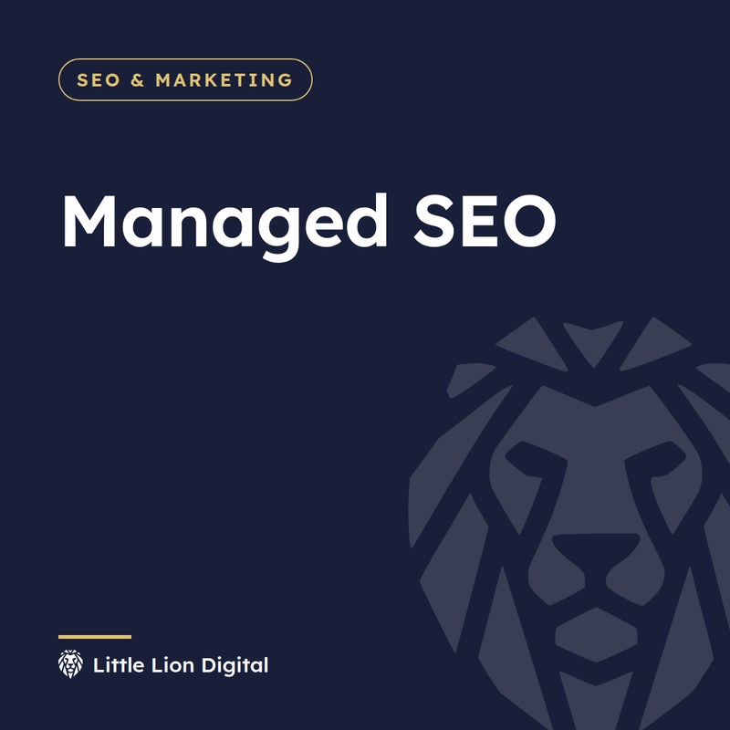 Managed SEO | Little Lion Digital