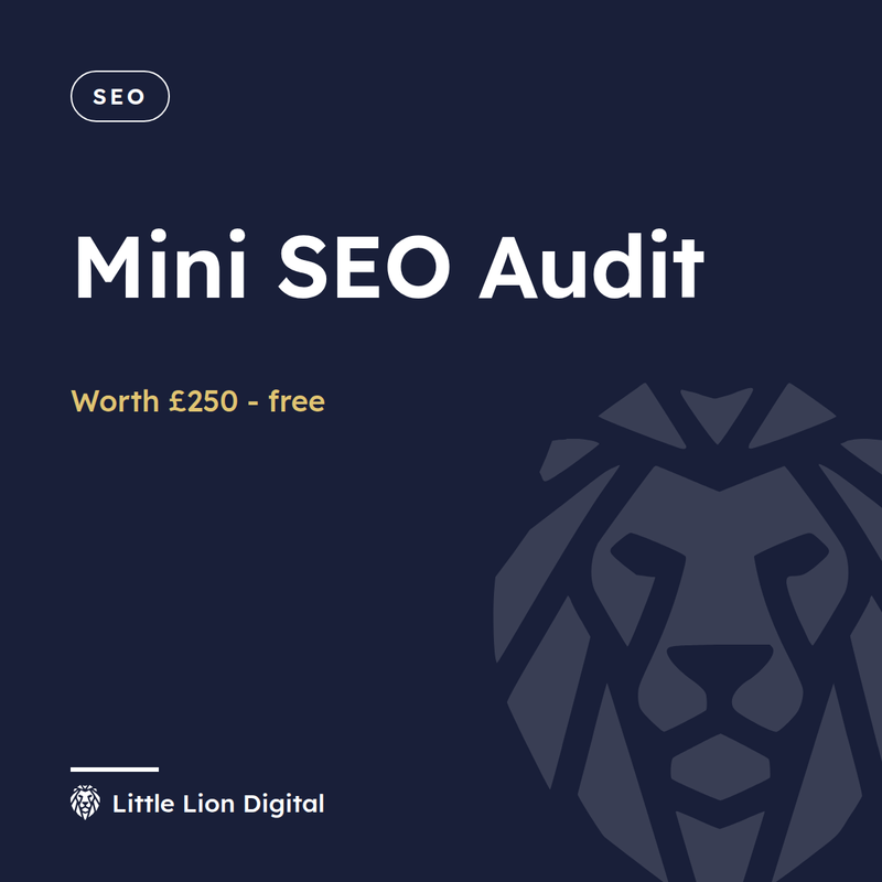 Mini SEO Audit | Little Lion Digital