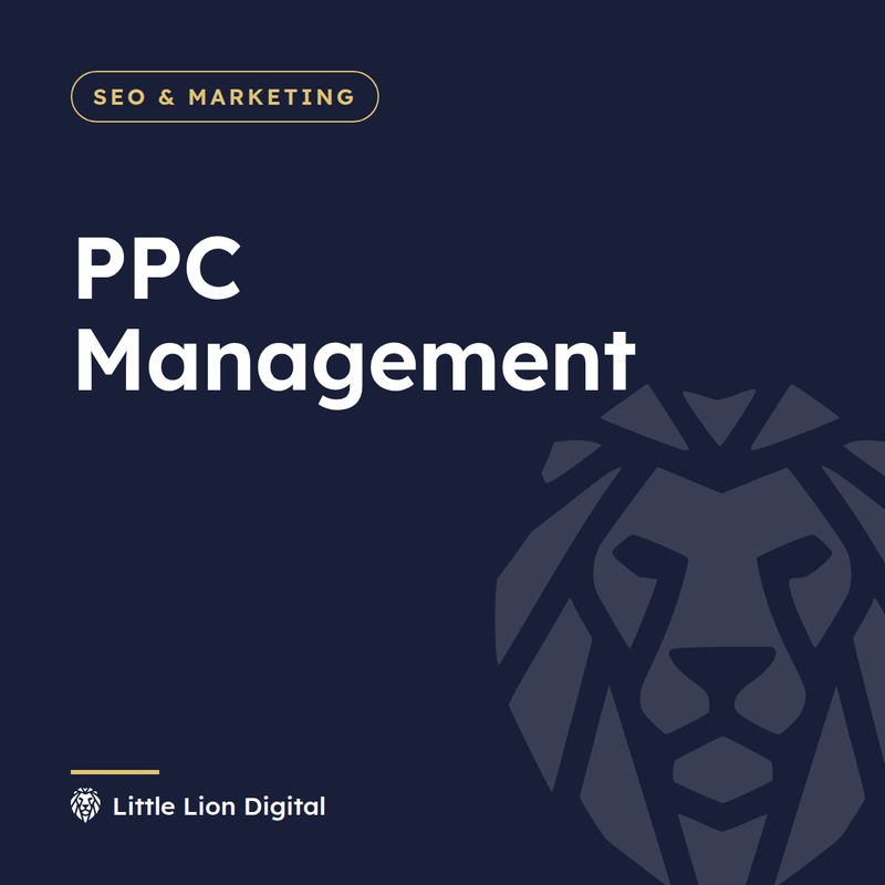PPC Management | Little Lion Digital