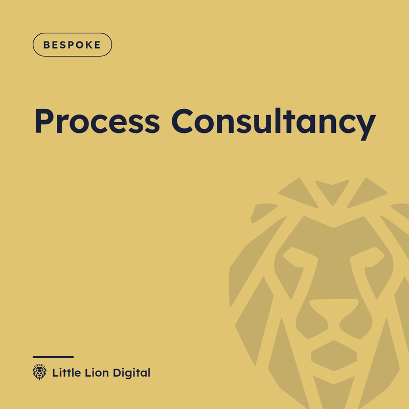 Process Consultancy | Little Lion Digital