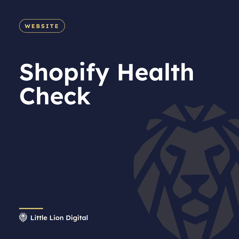 Shopify Health Check | Little Lion Digital