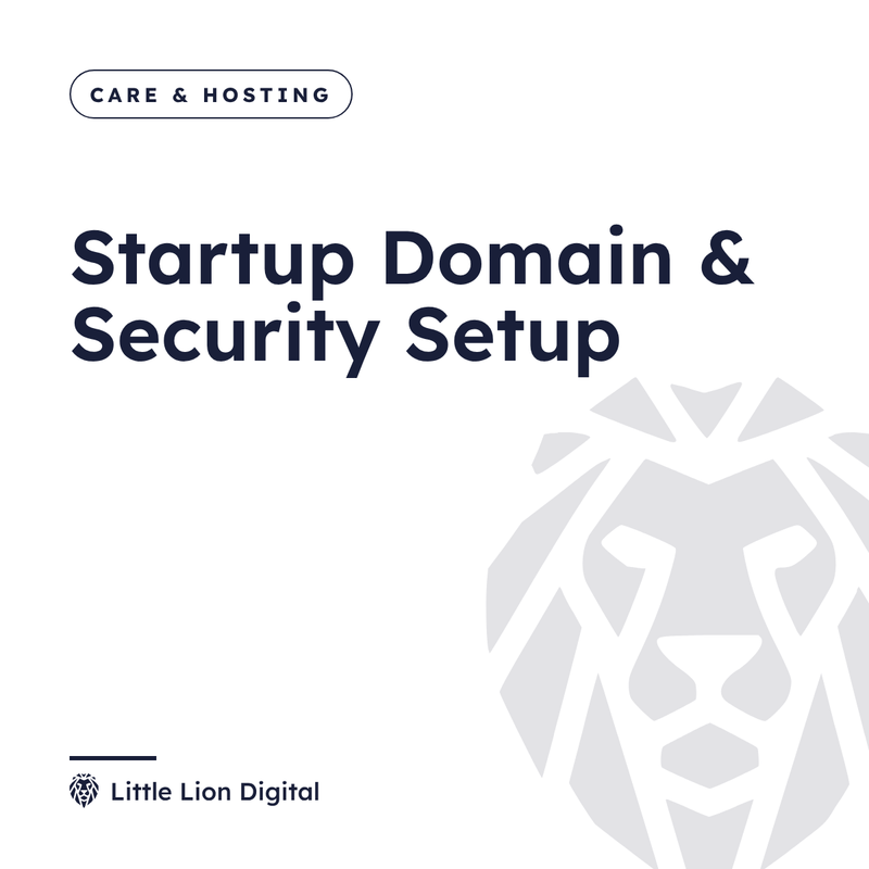 Startup Domain & Security Setup | Little Lion Digital