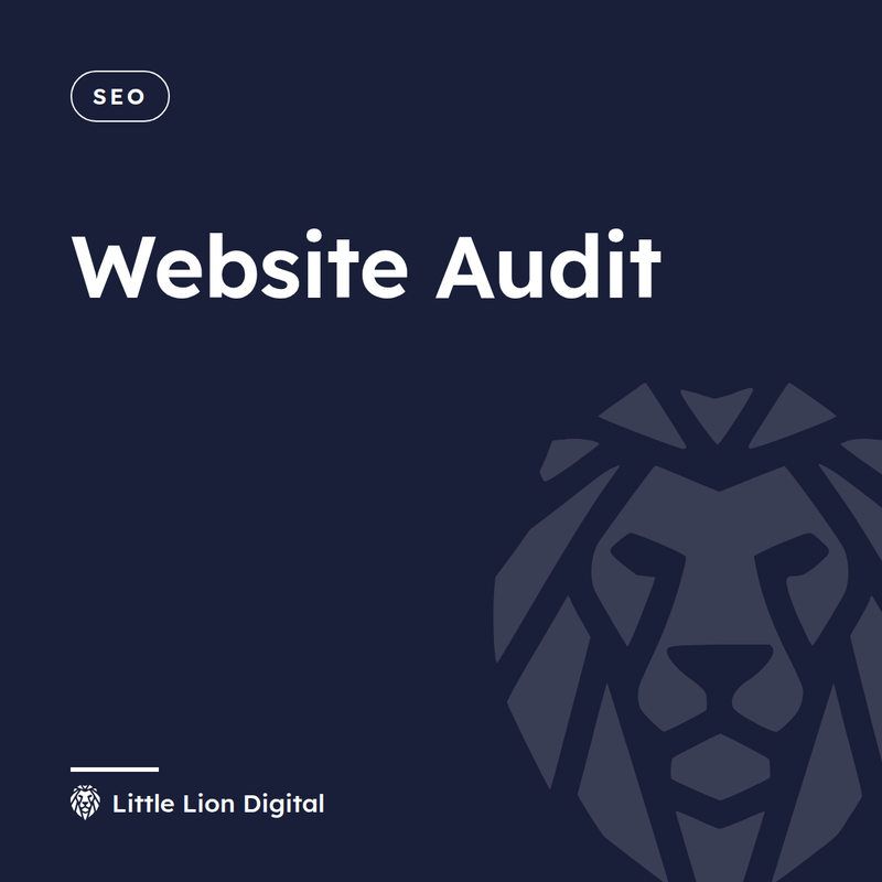 Website Audit | Little Lion Digital