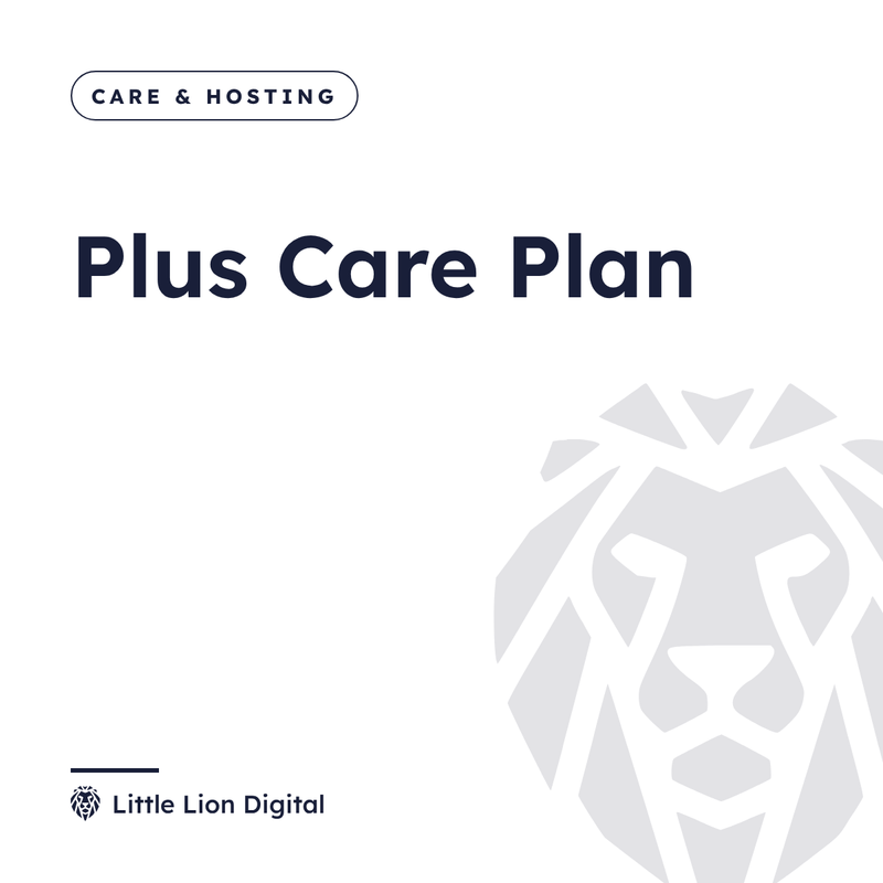Plus Care Plan | Little Lion Digital