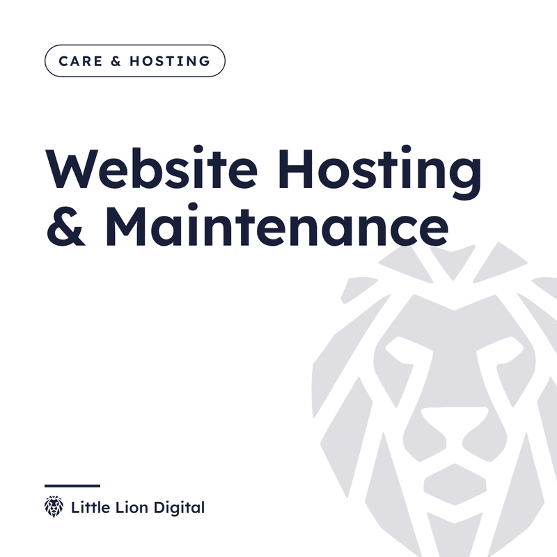Website Hosting & Maintenance | Little Lion Digital