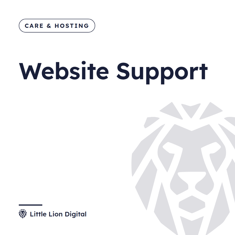 Website Support | Little Lion Digital